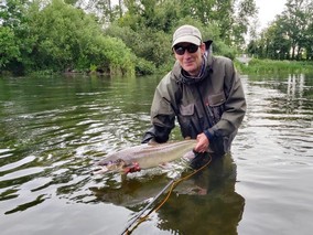 beau saumon de printemps